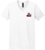 NJ Titans Softstyle V-Neck T-Shirt