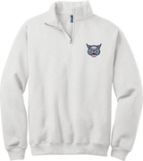 CT Bobcats NuBlend 1/4-Zip Cadet Collar Sweatshirt