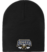 Blizzard Knit Skull Cap