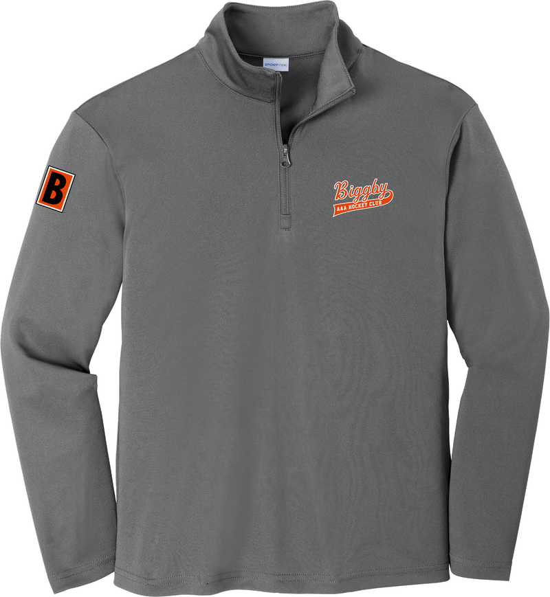 Biggby Coffee AAA Youth PosiCharge Competitor 1/4-Zip Pullover