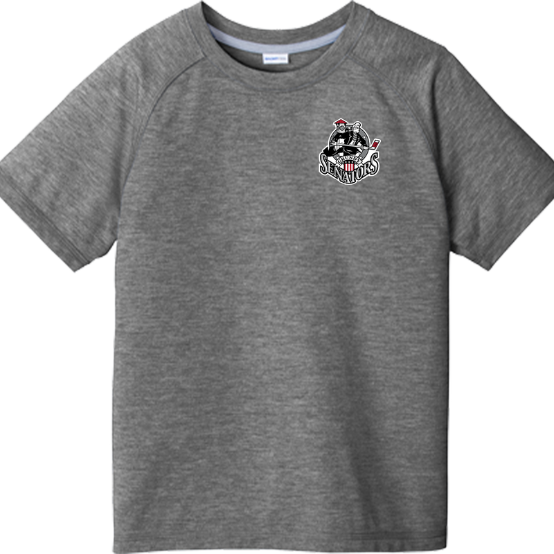 Grundy Senators Youth PosiCharge  Tri-Blend Wicking Raglan Tee